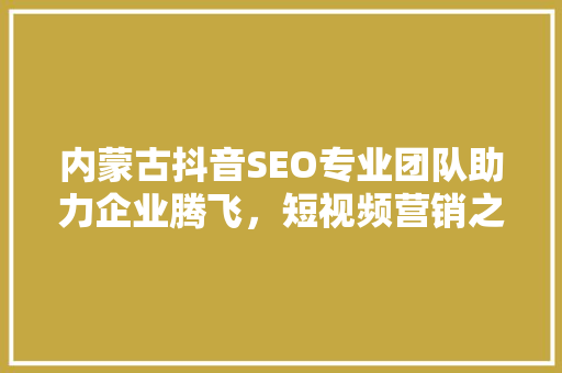 内蒙古抖音SEO专业团队助力企业腾飞，短视频营销之路