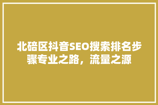 北碚区抖音SEO搜索排名步骤专业之路，流量之源