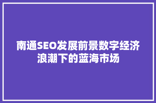 南通SEO发展前景数字经济浪潮下的蓝海市场