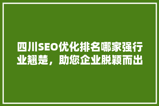 四川SEO优化排名哪家强行业翘楚，助您企业脱颖而出