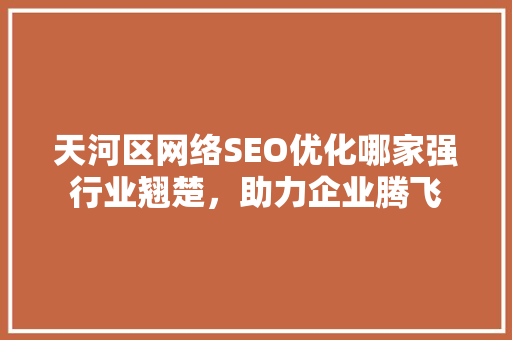 天河区网络SEO优化哪家强行业翘楚，助力企业腾飞