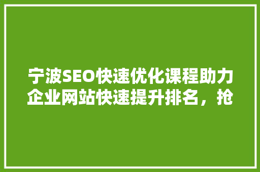 宁波SEO快速优化课程助力企业网站快速提升排名，抢占市场先机