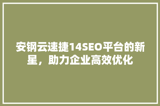 安钢云速捷14SEO平台的新星，助力企业高效优化