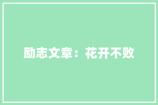 乐云SEO与夺高粱SEO的知心对话,介绍SEO优化背后的智慧与步骤  第1张