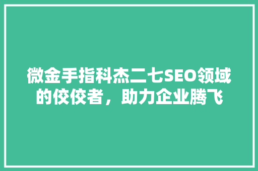 微金手指科杰二七SEO领域的佼佼者，助力企业腾飞