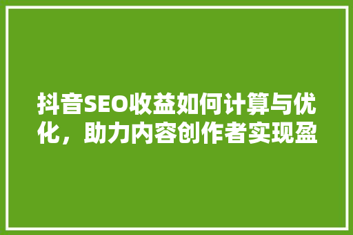 抖音SEO收益如何计算与优化，助力内容创作者实现盈利