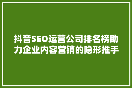 抖音SEO运营公司排名榜助力企业内容营销的隐形推手
