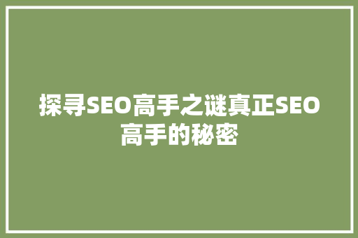 探寻SEO高手之谜真正SEO高手的秘密