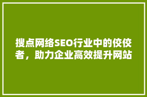 搜点网络SEO行业中的佼佼者，助力企业高效提升网站排名