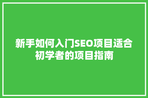 新手如何入门SEO项目适合初学者的项目指南