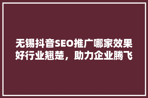 无锡抖音SEO推广哪家效果好行业翘楚，助力企业腾飞