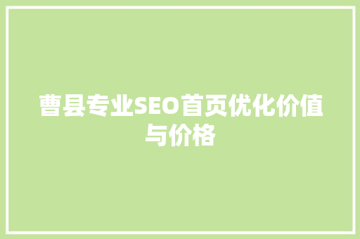 曹县专业SEO首页优化价值与价格