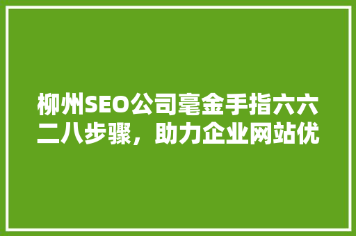 柳州SEO公司毫金手指六六二八步骤，助力企业网站优化