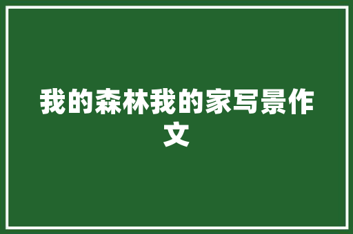 云游SEO,助力企业互联网营销的智慧之选