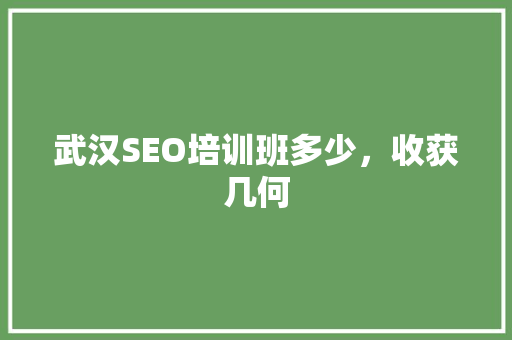 武汉SEO培训班多少，收获几何
