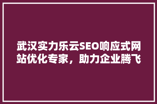 武汉实力乐云SEO响应式网站优化专家，助力企业腾飞