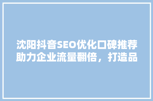 沈阳抖音SEO优化口碑推荐助力企业流量翻倍，打造品牌新高度