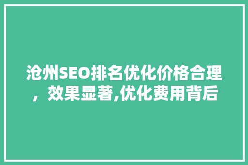 沧州SEO排名优化价格合理，效果显著,优化费用背后的秘密