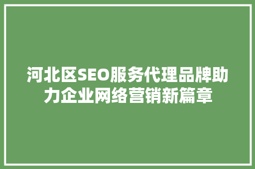河北区SEO服务代理品牌助力企业网络营销新篇章