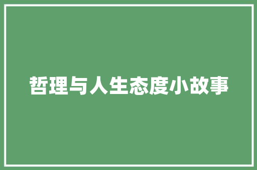 介绍e网络SEO优化,关键词布局的艺术与步骤