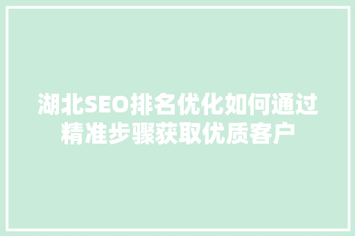 湖北SEO排名优化如何通过精准步骤获取优质客户