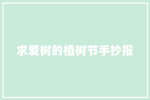 介绍SEO人员薪资,介绍行业趋势与职业发展前景  第1张