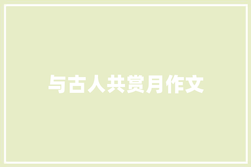介绍SEO优化,欧美视角下的步骤与方法