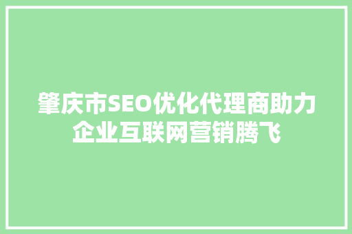 肇庆市SEO优化代理商助力企业互联网营销腾飞