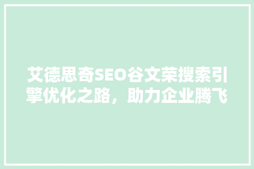 艾德思奇SEO谷文荣搜索引擎优化之路，助力企业腾飞