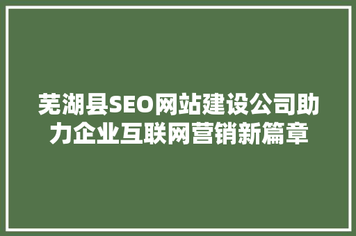 芜湖县SEO网站建设公司助力企业互联网营销新篇章