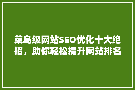 菜鸟级网站SEO优化十大绝招，助你轻松提升网站排名