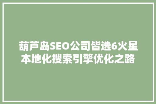 葫芦岛SEO公司皆选6火星本地化搜索引擎优化之路