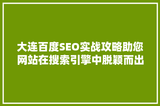 大连百度SEO实战攻略助您网站在搜索引擎中脱颖而出