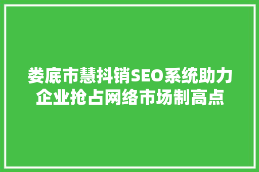 娄底市慧抖销SEO系统助力企业抢占网络市场制高点