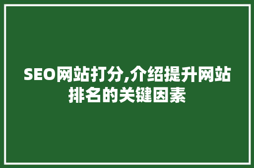SEO网站打分,介绍提升网站排名的关键因素