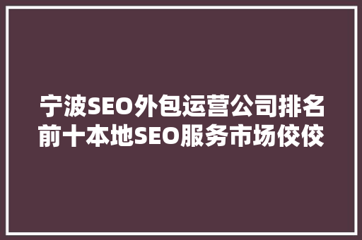 宁波SEO外包运营公司排名前十本地SEO服务市场佼佼者