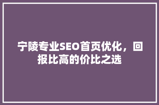 宁陵专业SEO首页优化，回报比高的价比之选