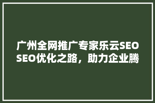 广州全网推广专家乐云SEOSEO优化之路，助力企业腾飞