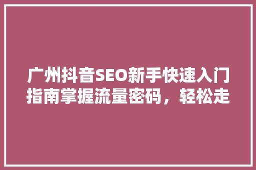 广州抖音SEO新手快速入门指南掌握流量密码，轻松走红网络