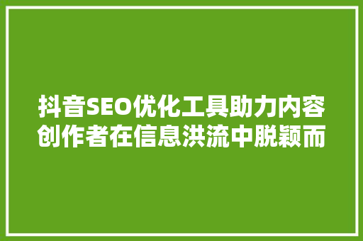 抖音SEO优化工具助力内容创作者在信息洪流中脱颖而出