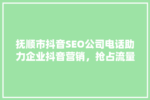 抚顺市抖音SEO公司电话助力企业抖音营销，抢占流量高地