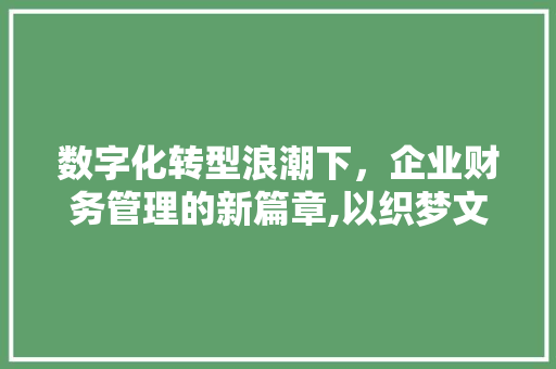 数字化转型浪潮下，企业财务管理的新篇章,以织梦文账模板为例