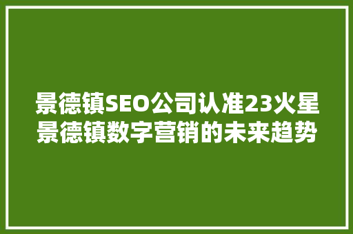 景德镇SEO公司认准23火星景德镇数字营销的未来趋势