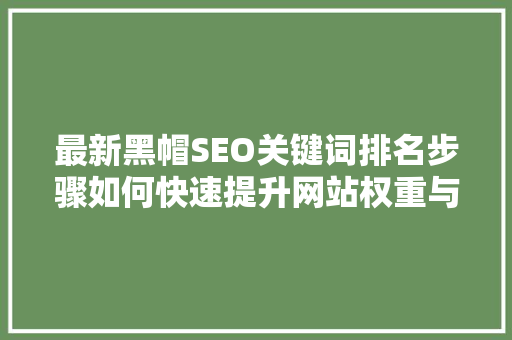 最新黑帽SEO关键词排名步骤如何快速提升网站权重与流量  第1张