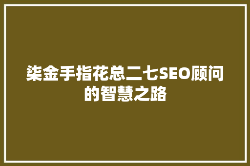 柒金手指花总二七SEO顾问的智慧之路