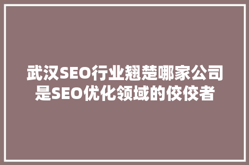 武汉SEO行业翘楚哪家公司是SEO优化领域的佼佼者