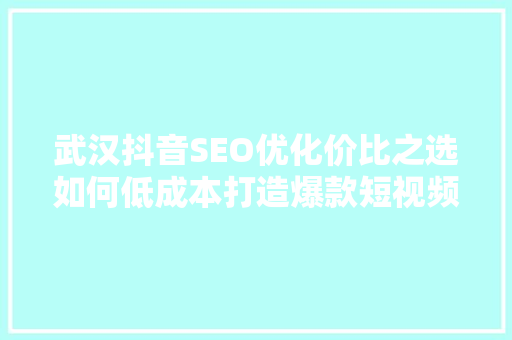 武汉抖音SEO优化价比之选如何低成本打造爆款短视频