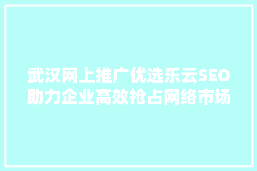武汉网上推广优选乐云SEO助力企业高效抢占网络市场