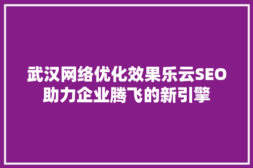 武汉网络优化效果乐云SEO助力企业腾飞的新引擎