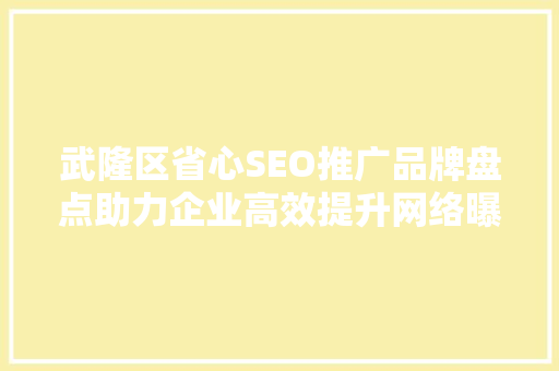 武隆区省心SEO推广品牌盘点助力企业高效提升网络曝光度